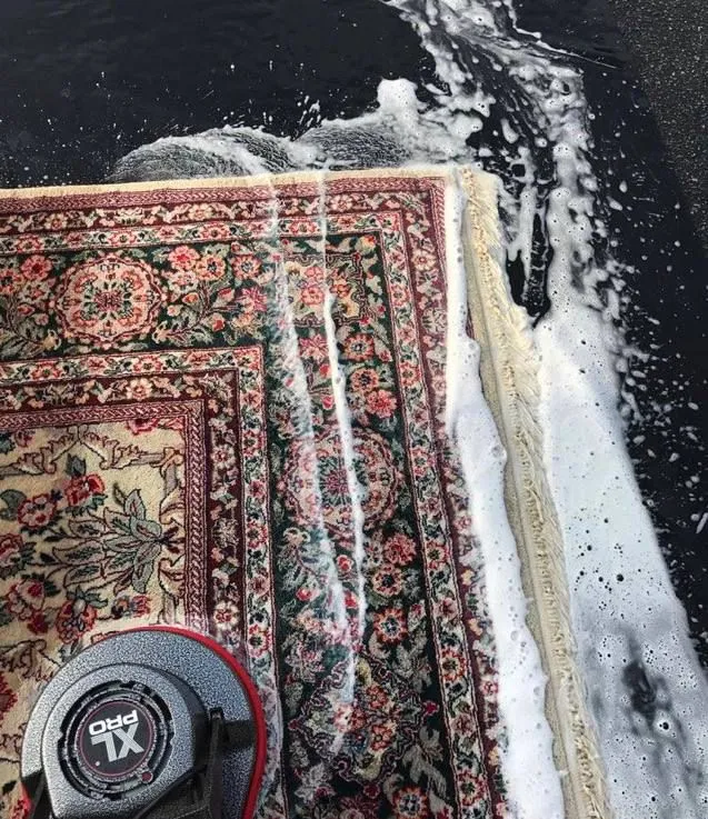 Technician using a steam vacuum on a home rug